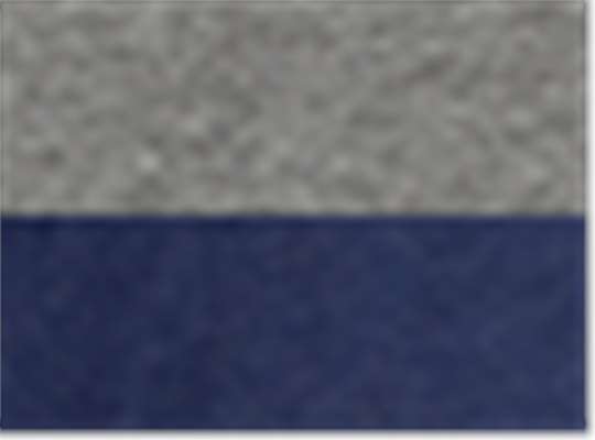 Swatch for Grey/ Navy Triblend