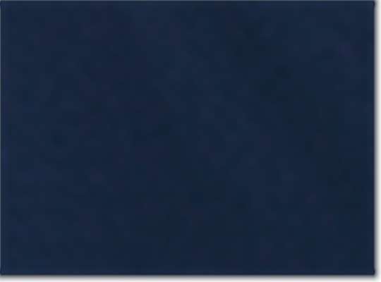 Swatch for Tri Navy Solid