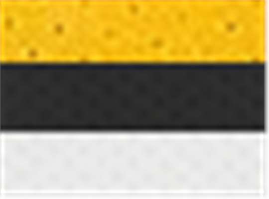 Swatch for Athletic Gold/ Black/ White