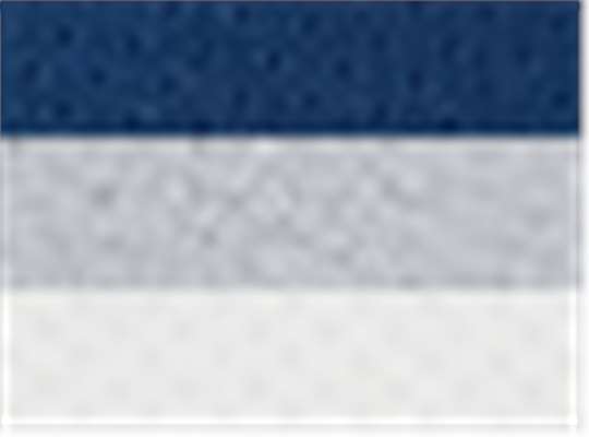 Swatch for Navy/ Silver Grey/ White