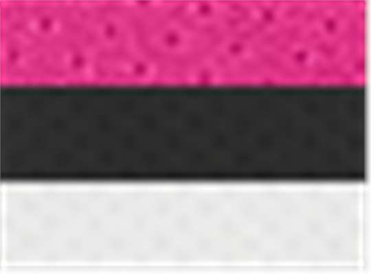 Swatch for Raspberry/ Black/ White