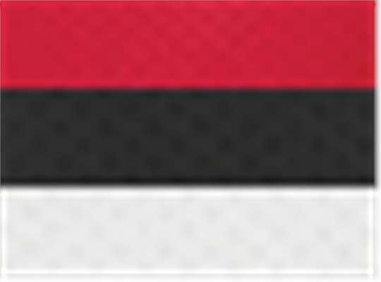 Swatch for Scarlet/ Black/ White