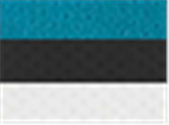 Swatch for Teal/ Black/ White