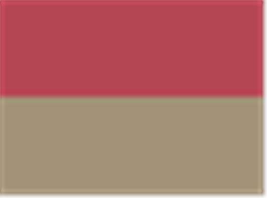 Swatch for Nautical Red/ Khaki