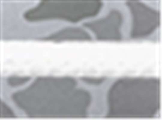 Swatch for Blizzard Duck Camo/ White