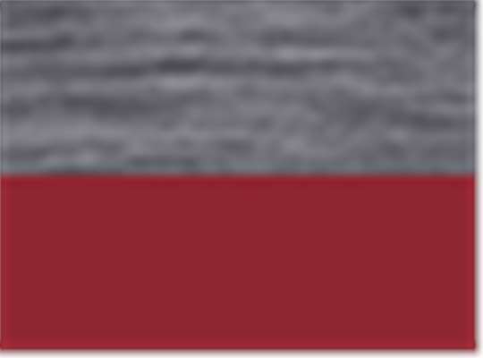 Swatch for Carbon/ Olympic Red