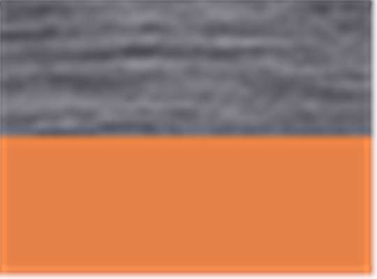 Swatch for Carbon/ Orange Soda
