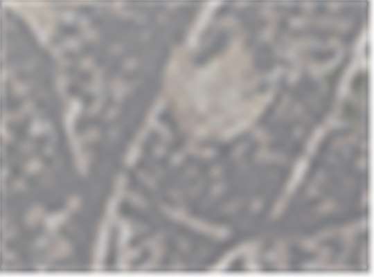 Swatch for Deadwood Camo