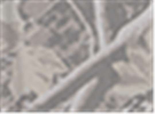 Swatch for Deadwood Tree Camo