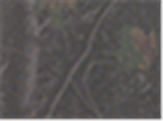 Swatch for Darkwood Tree Camo