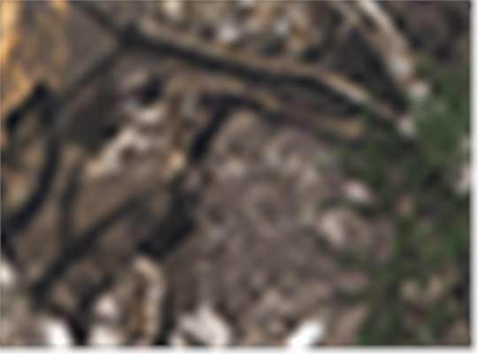 Swatch for Realtree Apx Camo