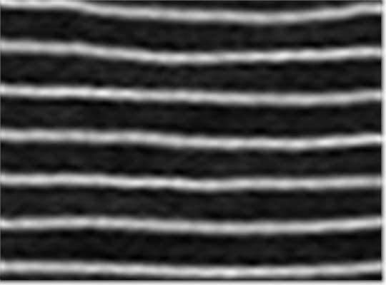 Swatch for Black Stripe