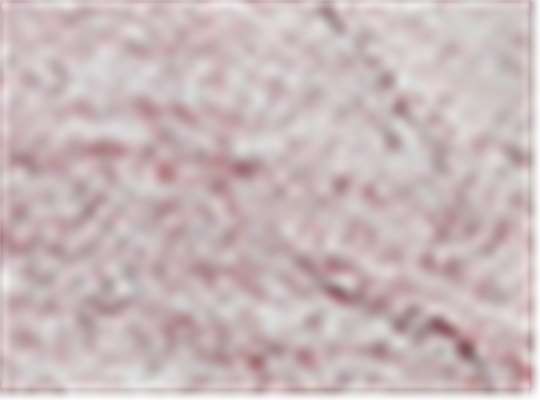 Swatch for Frosty Garnet