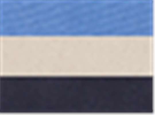 Swatch for Navy/ Natural/ Carolina Blue