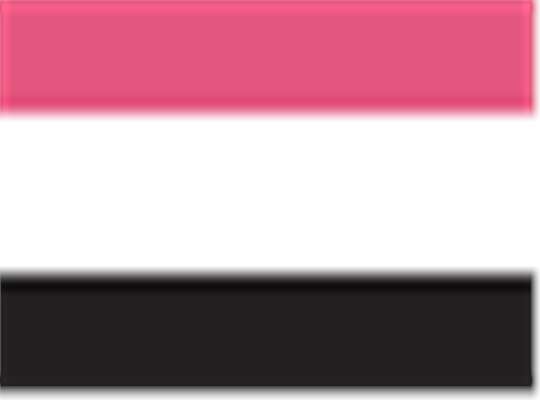Swatch for Hot Pink/ White/ Black