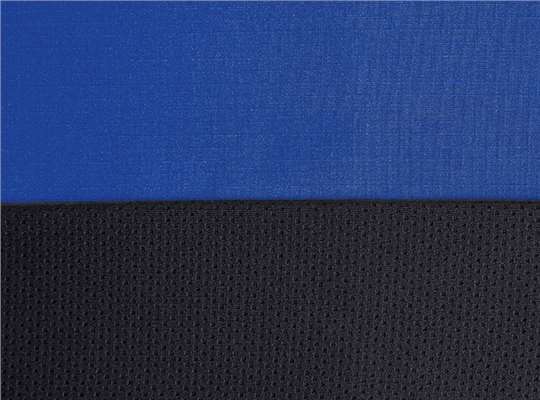 Swatch for Royal Blue/ Black