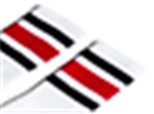Swatch for White/ Black/ Red