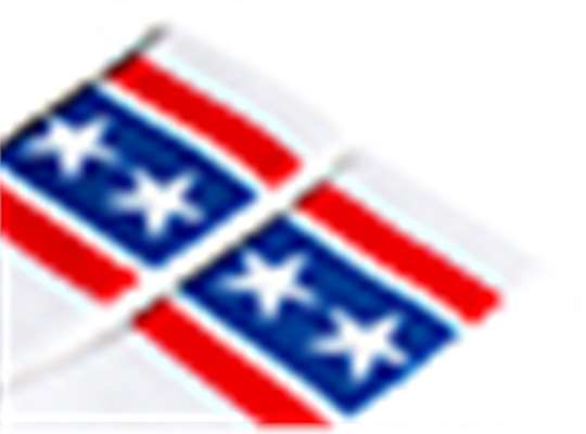 Swatch for White/ Stars & Stripes