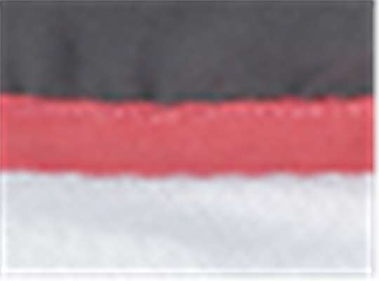 Swatch for Grey/ Coral/ White