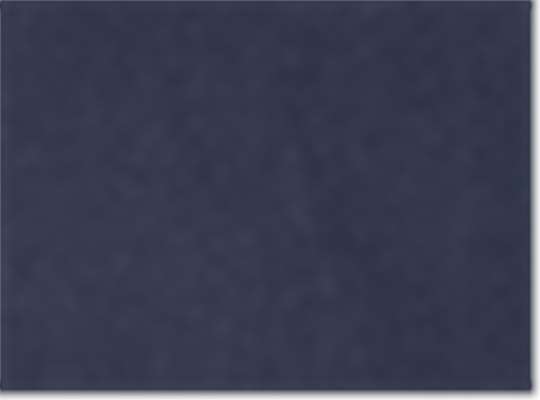Swatch for Dark Navy/ Silver