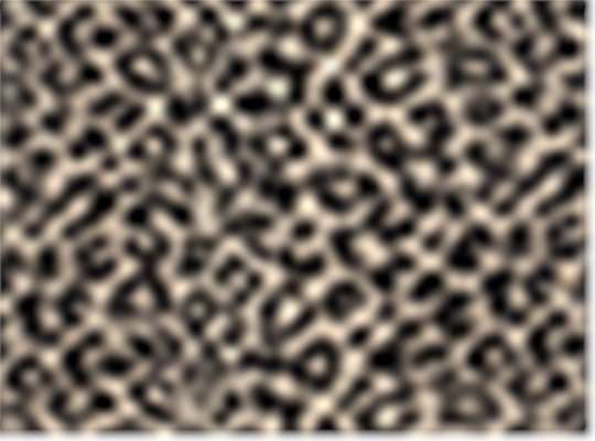 Swatch for Atmosphere/ Black Leopard