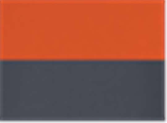 Swatch for Orange/ Carbon