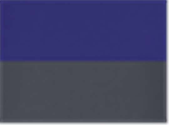 Swatch for Purple/ Carbon