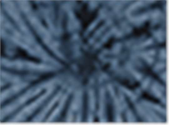 Swatch for Spider Navy