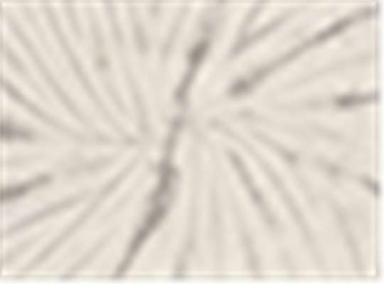 Swatch for Spider Silver