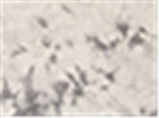 Swatch for Crystal Silver