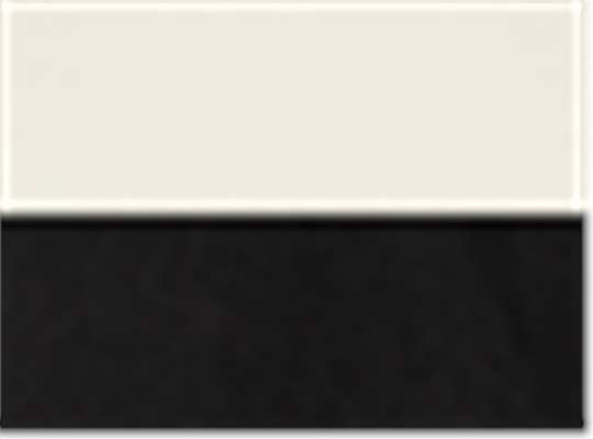 Swatch for Vintage White/ Black