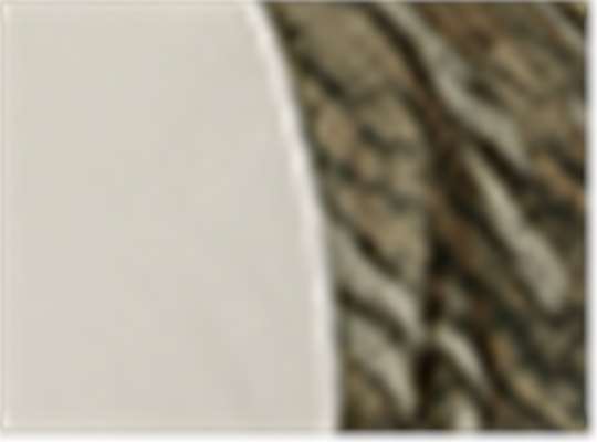 Swatch for Bottomland