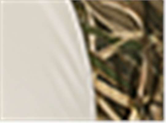 Swatch for Shadow Grass