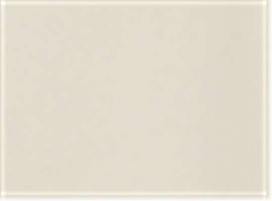 Swatch for Ecru