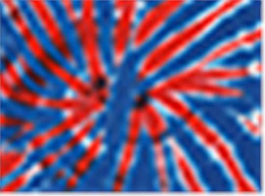 Swatch for Union Jack