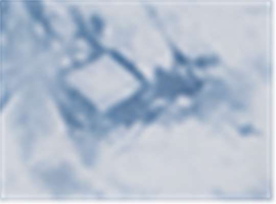 Swatch for Crystal Baby Blue