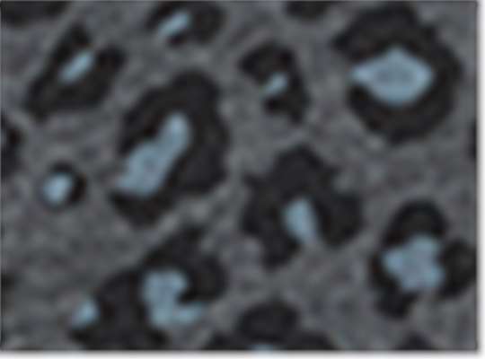 Swatch for Black Leopard Triblend