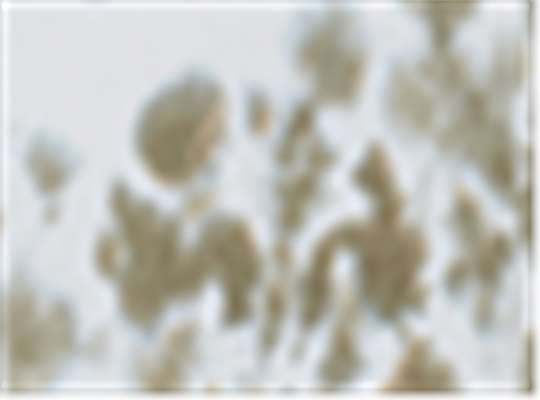 Swatch for Olive Tie Dye