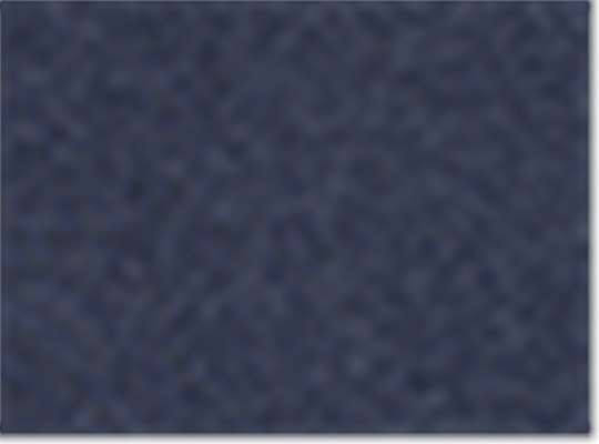 Swatch for True Navy Triblend