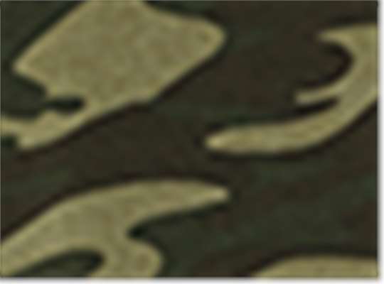 Swatch for Camo Triblend