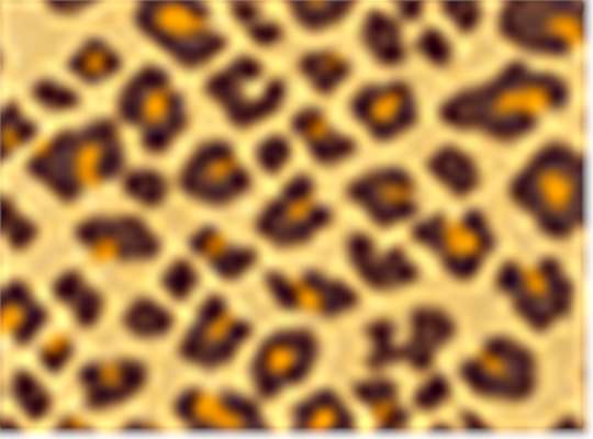 Swatch for Leopard Triblend