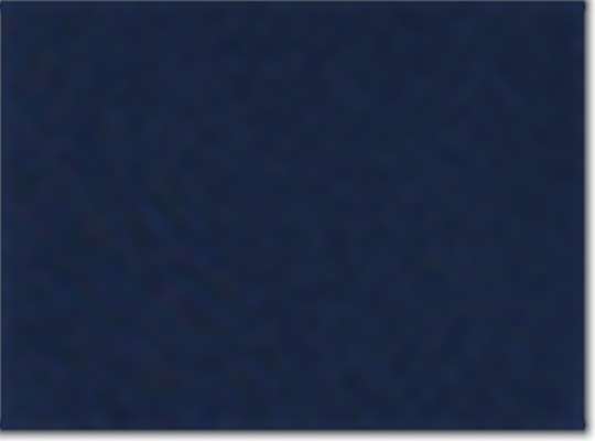 Swatch for True Navy Solid