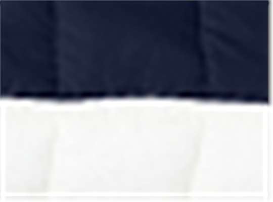Swatch for Navy/ Antique White