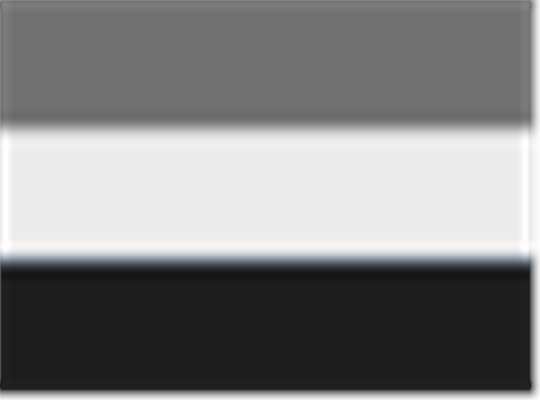 Swatch for Graphite/ White/ Black
