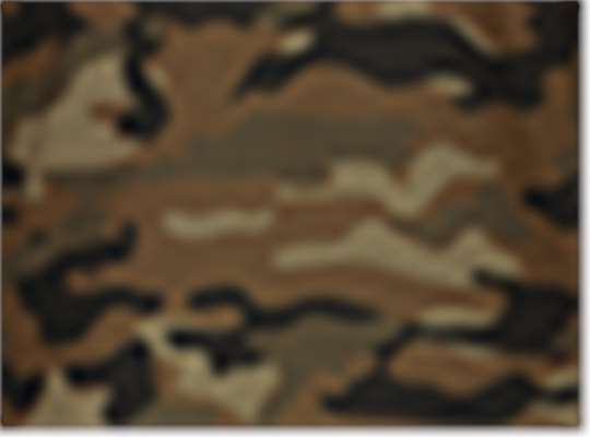 Swatch for Coyote Camo