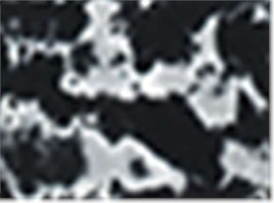 Swatch for Multi Black