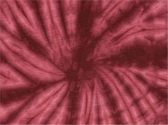 Swatch for Spider Burgundy