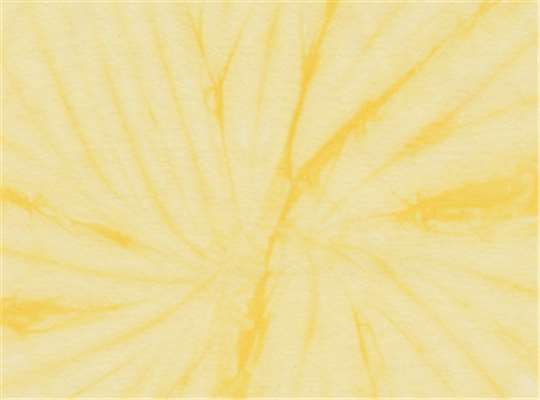 Swatch for Spider Dandelion