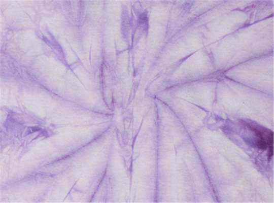 Swatch for Spider Lavender