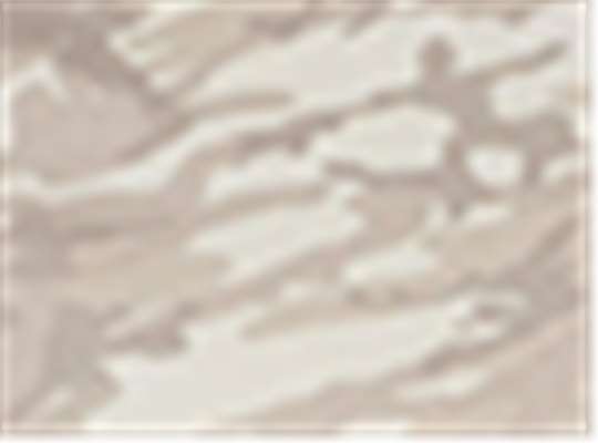 Swatch for Natural Camo